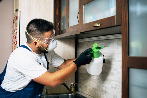 Best Exterminator Services  in Greendale, WI