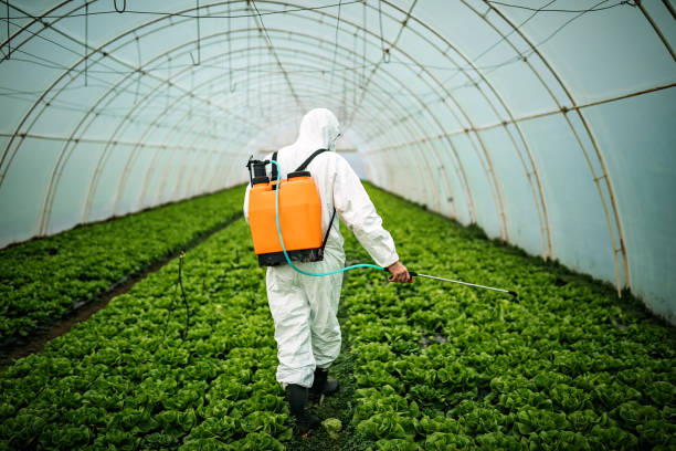 Best Pest Prevention Services  in Greendale, WI