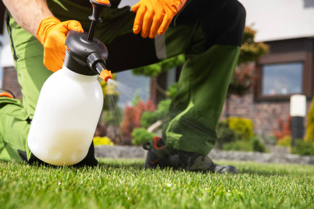 Best Affordable Pest Control Services  in Greendale, WI