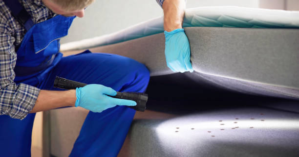 Best Flea Control Services  in Greendale, WI