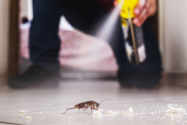 Pest Control for Restaurants in Greendale, WI