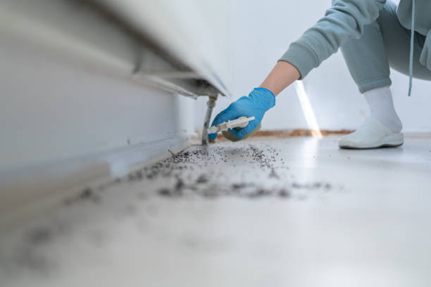 Wildlife Control Services in Greendale, WI